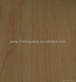 PVC decorative sheet