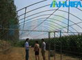 Greenhouse Structure 2