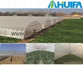 Single Span Tunnel Greenhouse