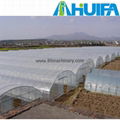 Agricultural Greenhouse Project/Design 2