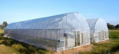 Agricultural Tunnel Film Greenhouse