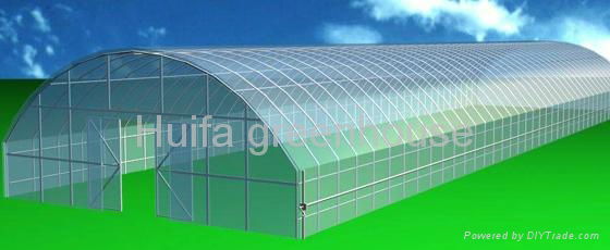 Agricultural Tunnel Film Greenhouse 3