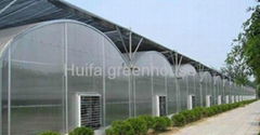 Pc Sheet Polycarbonate Greenhouse