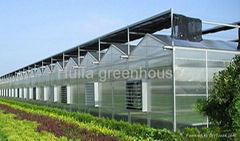 Polycarbonate Sheet Pc Greenhouse 