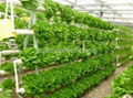  Hydroponics Vertical System 2