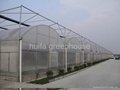 Multi-Span Greenhouse