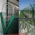 Military Fence