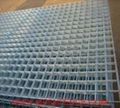 Mesh Fence Panel