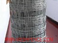 Field mesh fence