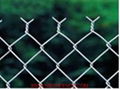 Chain Link Fence 