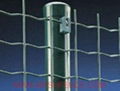 Holland Mesh Fence