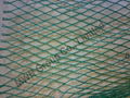 Golf Practice Net