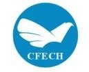 Cfech Industrial Limited Cfech Industrial Limited