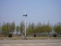 吉林延吉太陽能路燈庭院燈