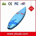 2gb surfboard usb Flash Drive