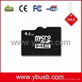 2GB Micro SD Card