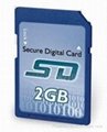 2GB Micro SD Card