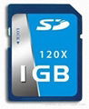 2GB Micro SD Card