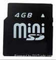 2GB Micro SD Card