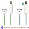 Lighting Iphone 4 4s 30pin Charge cable 1