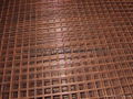 Brass Welded Wire Mesh Panel 4