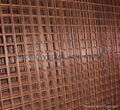 Brass Welded Wire Mesh Panel 1