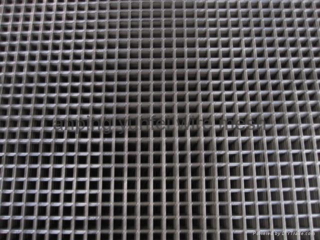 1/2 PVC welded mesh panels