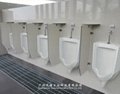 Wall Mounted Stainless Concealed automatic Induction urinal Flusher