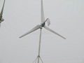 China Wind solar combined Wind System