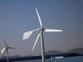 50kw Wind Turbine