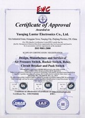 yueqing luster electronics co.,ltd
