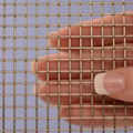 Stainless Steel Welded Mesh 1