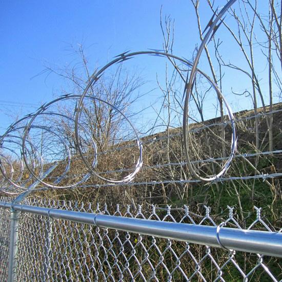 Galvanized Chain Link Fence