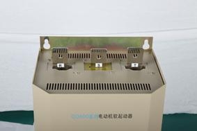 软起动器 QD600 5