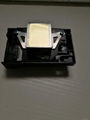 EPSON F173050 printhead