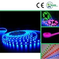 DC12V/24V flexible led strip light