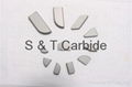 Carbide Brazed Tips 1