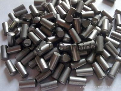 Cemented Carbide pins