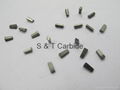 Tungsten Carbide Saw Tips