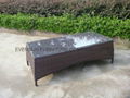 Rattan sofa zet