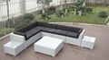 Home Furniture Modern Sofa