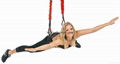  4DPRO Bungee Trainer, Professional Suspension Trainer Kit, Full Body Fitness Wo