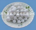 inert alumina ceramic ball 2