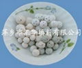 inert alumina ceramic ball 3