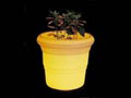 LED flowerpot 3