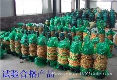 煤安防爆合格五星BQS75KW矿用隔爆排沙电泵服务完善 3