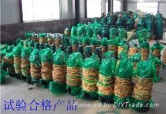防爆合格技术领先高效节能BQS30KW矿用隔爆排沙电泵 2