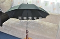 Gun umbrella