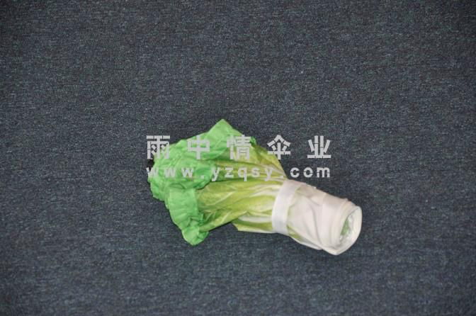 創意禮品白菜傘