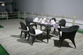 Dining tabke and chair furniture 3